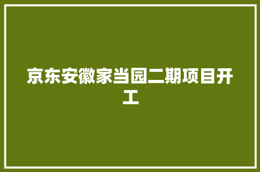 京东安徽家当园二期项目开工