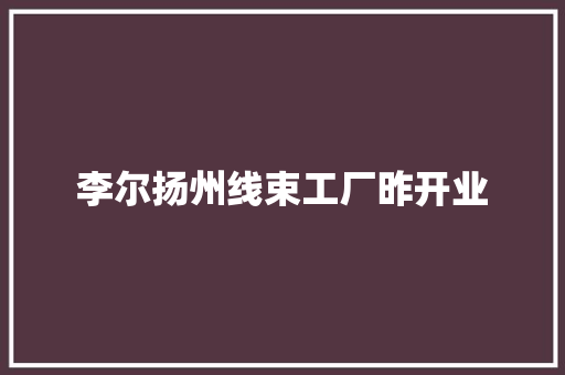 李尔扬州线束工厂昨开业