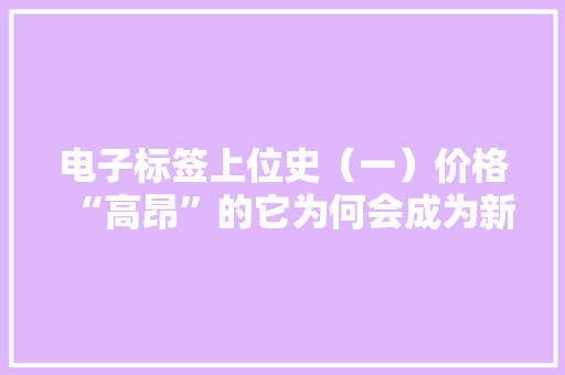 电子标签上位史（一）价格“高昂”的它为何会成为新零售的宠儿？,电商是做什么的。