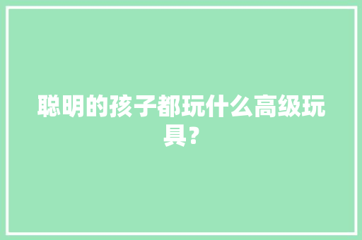 聪明的孩子都玩什么高级玩具？ 聪明的孩子都玩什么高级玩具？ 智能科技