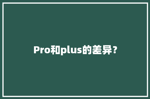 Pro和plus的差异？,配置最高的车。