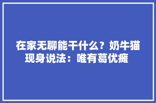在家无聊能干什么？奶牛猫现身说法：唯有葛优瘫  在家无聊能干什么？奶牛猫现身说法：唯有葛优瘫  智能家居