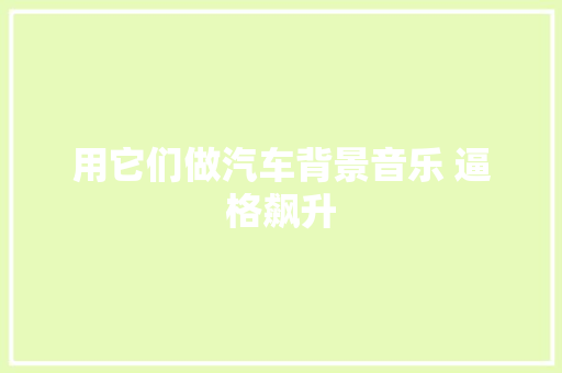 用它们做汽车背景音乐 逼格飙升