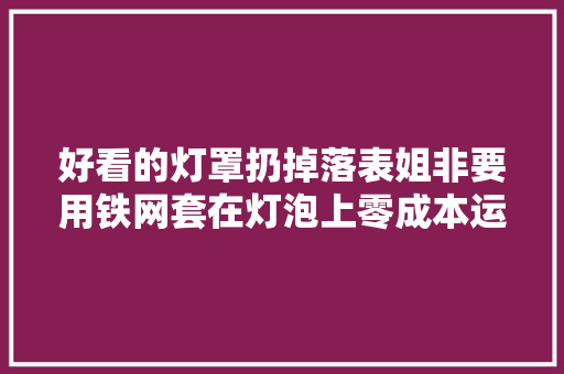 好看的灯罩扔掉落表姐非要用铁网套在灯泡上零成本运用更长！
