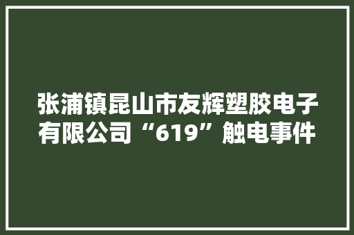 张浦镇昆山市友辉塑胶电子有限公司“619”触电事件