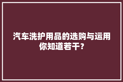 汽车洗护用品的选购与运用你知道若干？,洗护用品十大品牌。