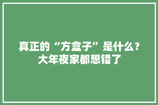 真正的“方盒子”是什么？大年夜家都想错了,越野叉车厂家。