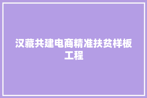 汉藏共建电商精准扶贫样板工程,电商是做什么的。