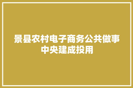 景县农村电子商务公共做事中央建成投用,电商是做什么的。