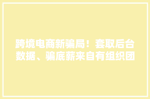 跨境电商新骗局！套取后台数据、骗底薪来自有组织团伙,公司起名字大全免费。