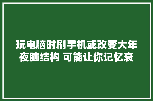玩电脑时刷手机或改变大年夜脑结构 可能让你记忆衰退,影象的意思。