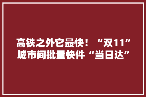 高铁之外它最快！“双11”城市间批量快件“当日达”,电商是做什么的。