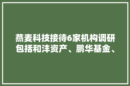 燕麦科技接待6家机构调研包括和沣资产、鹏华基金、全天候基金等