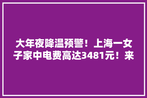 大年夜降温预警！上海一女子家中电费高达3481元！来源竟是这个网红电器？家里有这个要留心了！