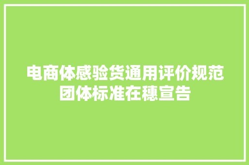 电商体感验货通用评价规范团体标准在穗宣告