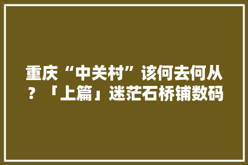 重庆“中关村”该何去何从？「上篇」迷茫石桥铺数码城乱象为何屡禁不止？