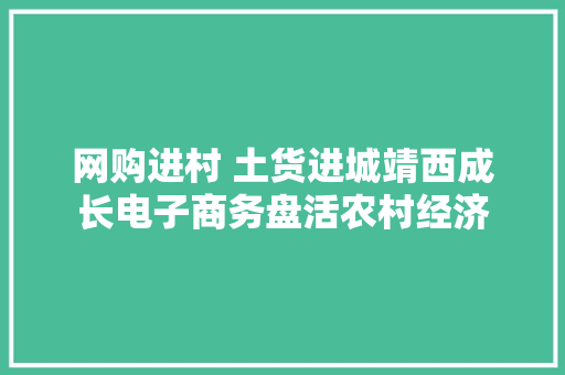 网购进村 土货进城靖西成长电子商务盘活农村经济