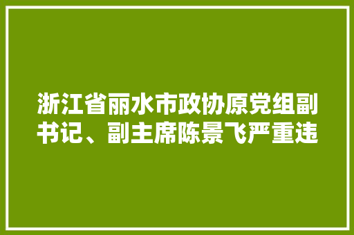 浙江省丽水市政协原党组副书记、副主席陈景飞严重违纪违法案剖析
