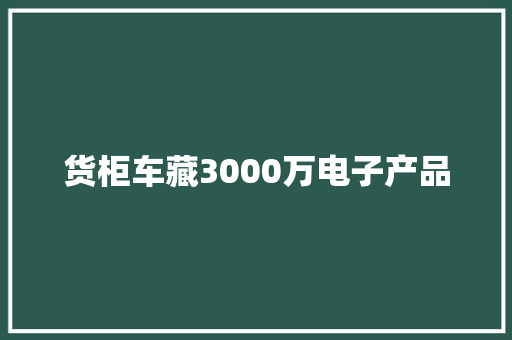 货柜车藏3000万电子产品