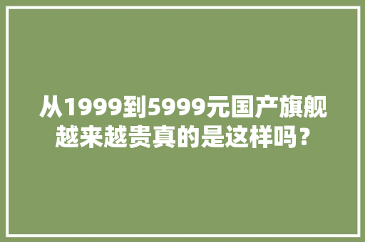 从1999到5999元国产旗舰越来越贵真的是这样吗？