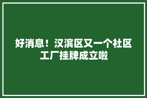 好消息！汉滨区又一个社区工厂挂牌成立啦
