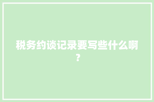 税务约谈记录要写些什么啊？
