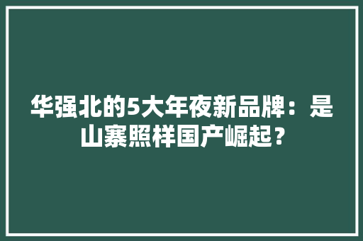 华强北的5大年夜新品牌：是山寨照样国产崛起？