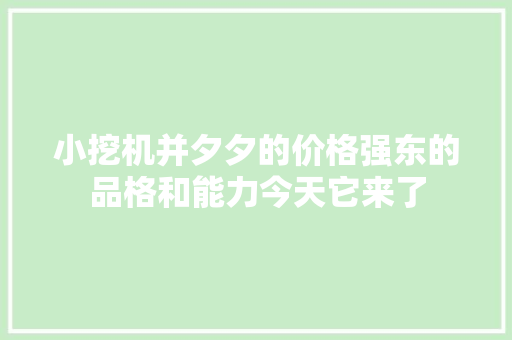 小挖机并夕夕的价格强东的品格和能力今天它来了 小挖机并夕夕的价格强东的品格和能力今天它来了 互联通信