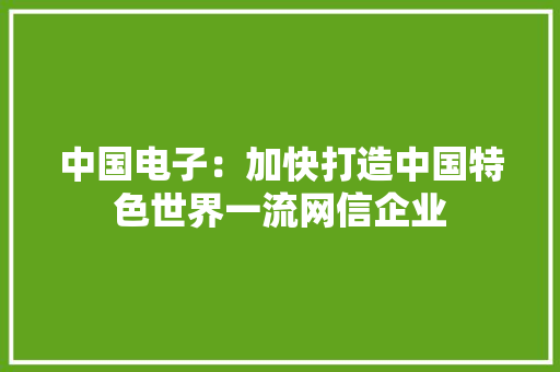 中国电子：加快打造中国特色世界一流网信企业