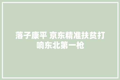 落子康平 京东精准扶贫打响东北第一枪 落子康平 京东精准扶贫打响东北第一枪 智能科技