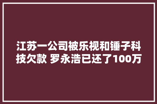 江苏一公司被乐视和锤子科技欠款 罗永浩已还了100万解除“限高”
