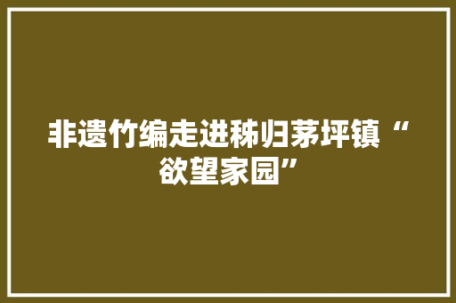 非遗竹编走进秭归茅坪镇“欲望家园”
