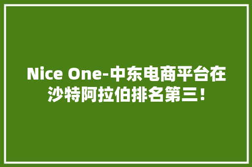Nice One-中东电商平台在沙特阿拉伯排名第三！,nice是什么意思。