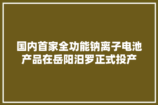 国内首家全功能钠离子电池产品在岳阳汨罗正式投产