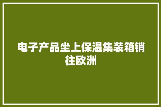 电子产品坐上保温集装箱销往欧洲 电子产品坐上保温集装箱销往欧洲 智能家居