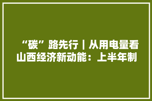“碳”路先行｜从用电量看山西经济新动能：上半年制造业、消费结构持续转型进级