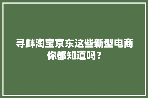 寻衅淘宝京东这些新型电商你都知道吗？