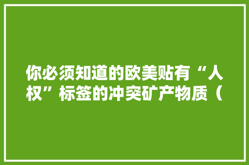 你必须知道的欧美贴有“人权”标签的冲突矿产物质（金属）治理,冲突矿产调查表最新版本。