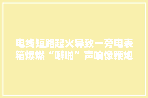 电线短路起火导致一旁电表箱爆燃“噼啪”声响像鞭炮！