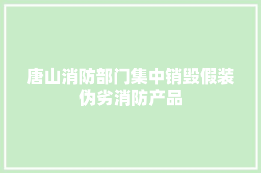 唐山消防部门集中销毁假装伪劣消防产品