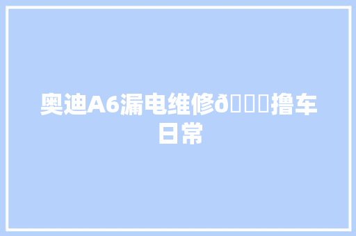 奥迪A6漏电维修😂撸车日常