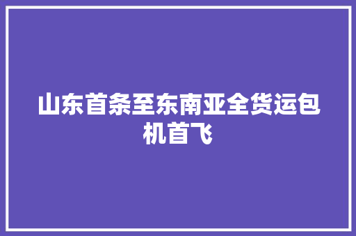 山东首条至东南亚全货运包机首飞