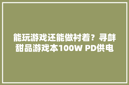 能玩游戏还能做衬着？寻衅甜品游戏本100W PD供电重度运用！