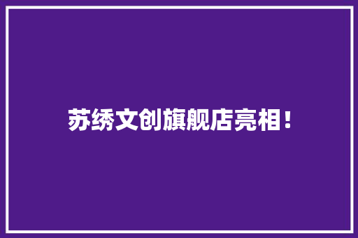 苏绣文创旗舰店亮相！