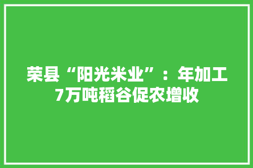 荣县“阳光米业”：年加工7万吨稻谷促农增收