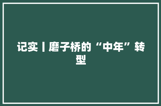记实丨磨子桥的“中年”转型