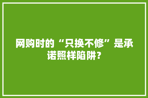 网购时的“只换不修”是承诺照样陷阱？