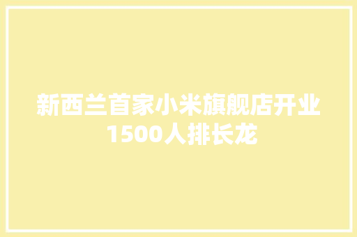 新西兰首家小米旗舰店开业 1500人排长龙