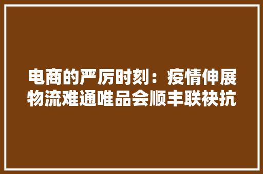 电商的严厉时刻：疫情伸展物流难通唯品会顺丰联袂抗疫 电商的严厉时刻：疫情伸展物流难通唯品会顺丰联袂抗疫 智能科技