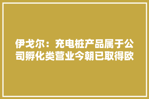 伊戈尔：充电桩产品属于公司孵化类营业今朝已取得欧洲CE认证正在推进过程中